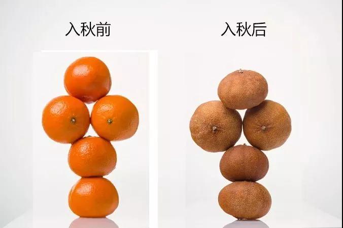 微信圖片_20190929102004.jpg