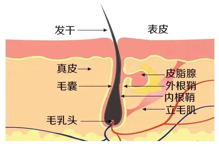 微信圖片_20200525105536.jpg
