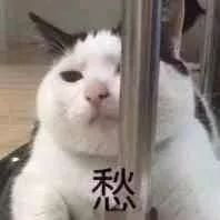 微信圖片_20220509093929.jpg