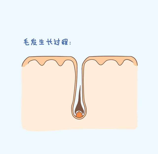 微信圖片_20220823094009.gif