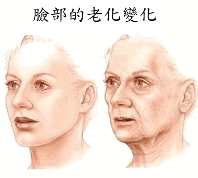 微信圖片_20220908093511.gif